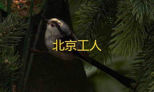 deepseek r1满血版【冷热数据分层】